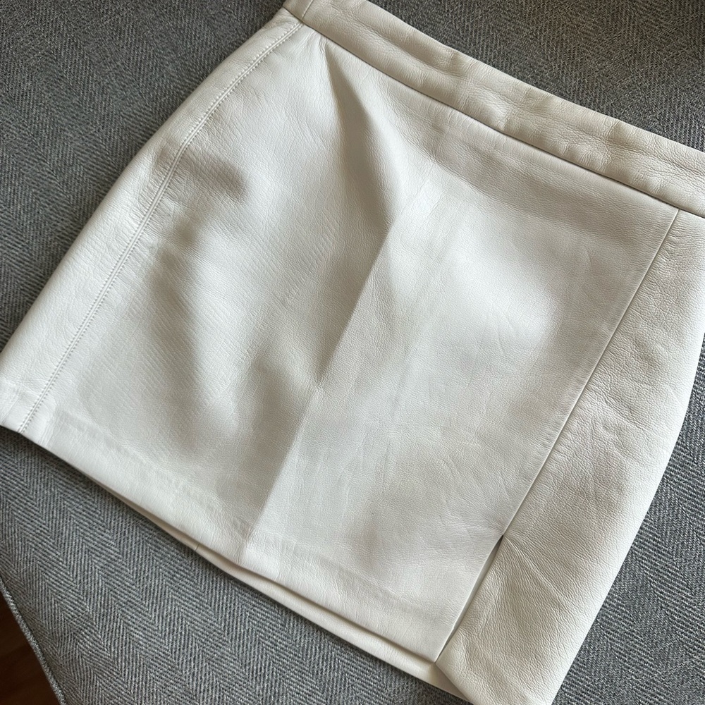 Aritzia Mini Skirt